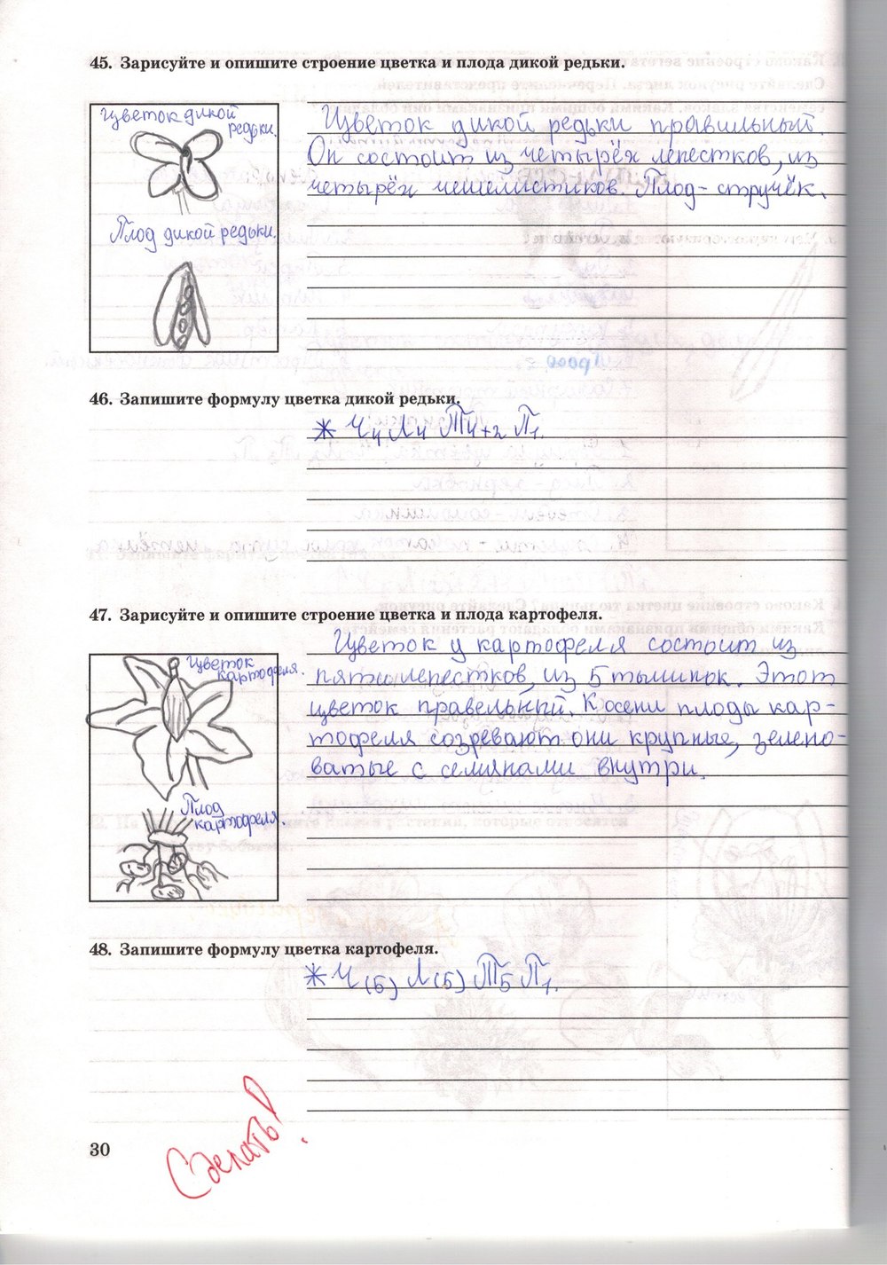 Рабочая тетрадь. Многообразие живых организмов, 7 класс, Захаров В.Б., Сонин Н.И., 2006, задание: стр. 30