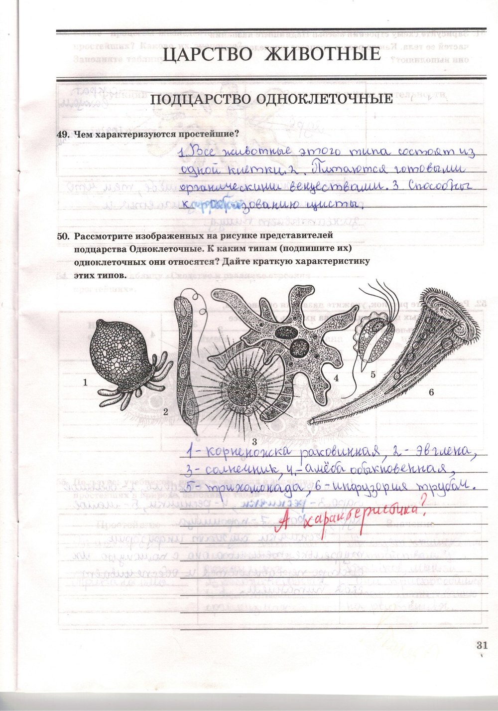 Рабочая тетрадь. Многообразие живых организмов, 7 класс, Захаров В.Б., Сонин Н.И., 2006, задание: стр. 31