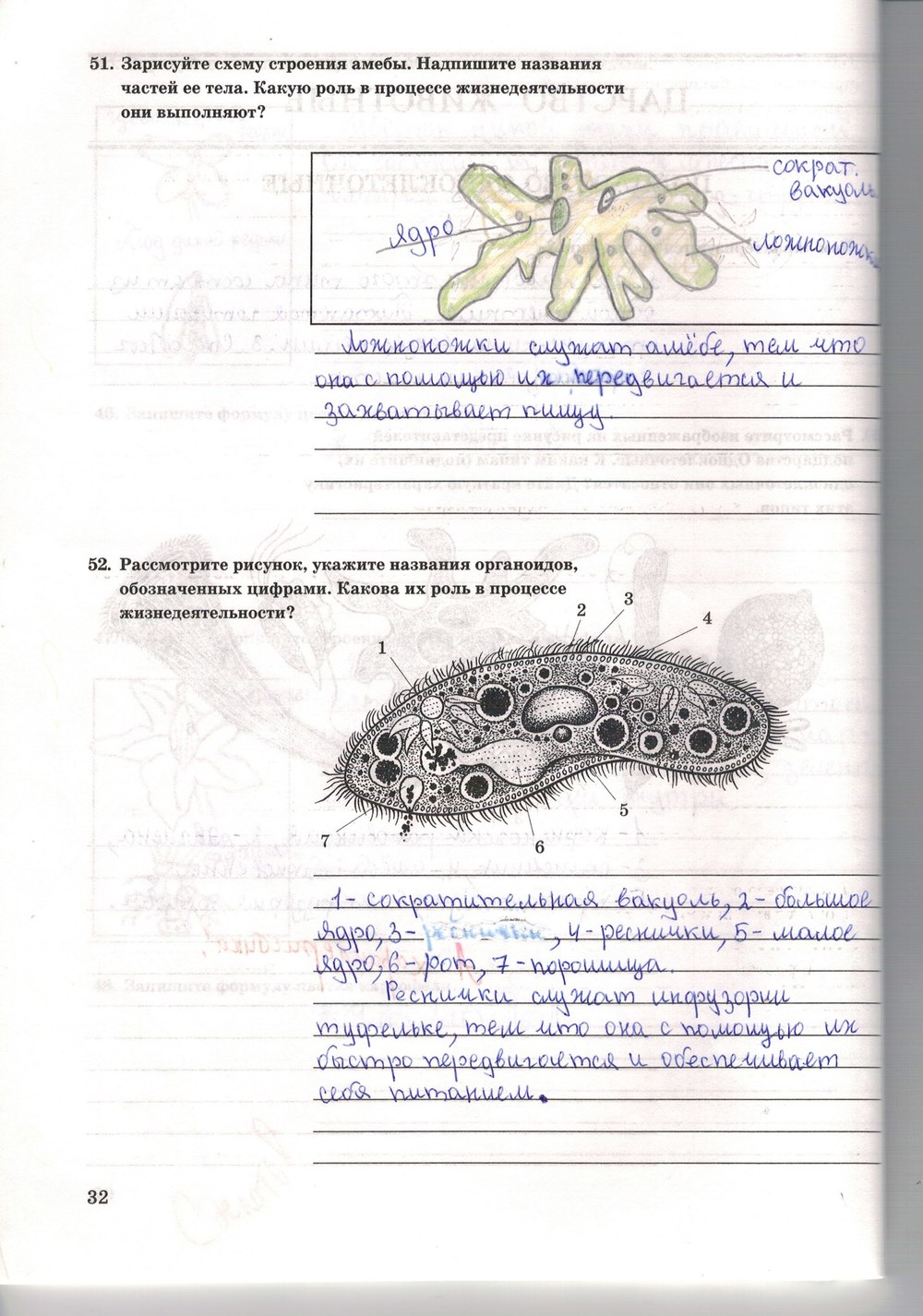 Рабочая тетрадь. Многообразие живых организмов, 7 класс, Захаров В.Б., Сонин Н.И., 2006, задание: стр. 32