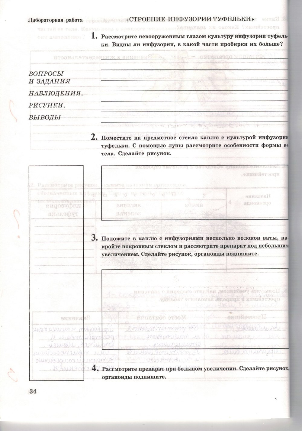 Рабочая тетрадь. Многообразие живых организмов, 7 класс, Захаров В.Б., Сонин Н.И., 2006, задание: стр. 34