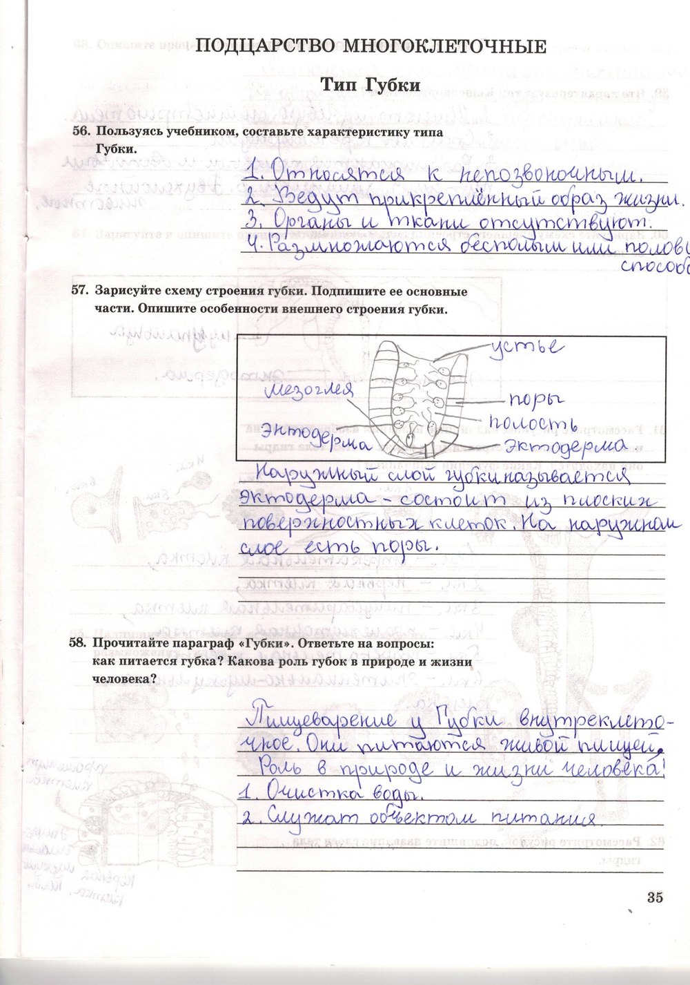 Рабочая тетрадь. Многообразие живых организмов, 7 класс, Захаров В.Б., Сонин Н.И., 2006, задание: стр. 35