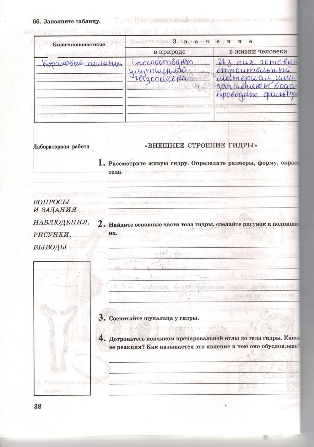 Рабочая тетрадь. Многообразие живых организмов, 7 класс, Захаров В.Б., Сонин Н.И., 2006, задание: стр. 38