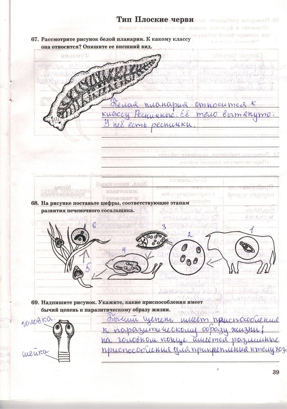 Рабочая тетрадь. Многообразие живых организмов, 7 класс, Захаров В.Б., Сонин Н.И., 2006, задание: стр. 39