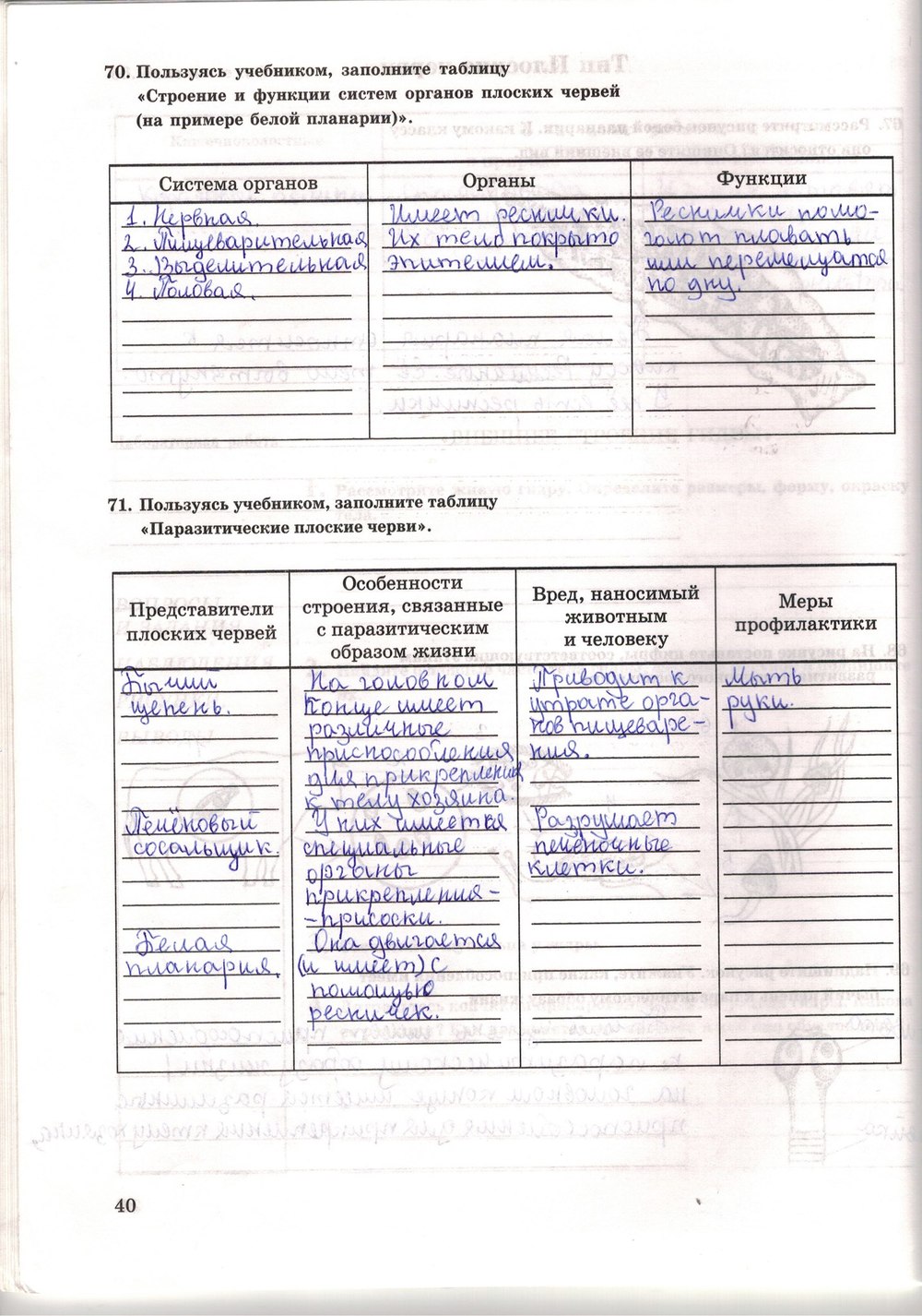 Рабочая тетрадь. Многообразие живых организмов, 7 класс, Захаров В.Б., Сонин Н.И., 2006, задание: стр. 40
