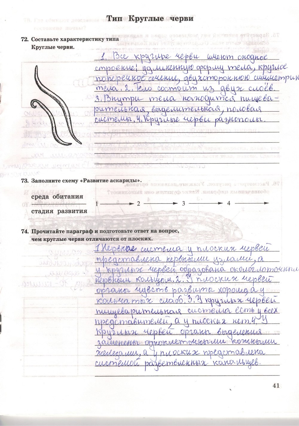 Рабочая тетрадь. Многообразие живых организмов, 7 класс, Захаров В.Б., Сонин Н.И., 2006, задание: стр. 41
