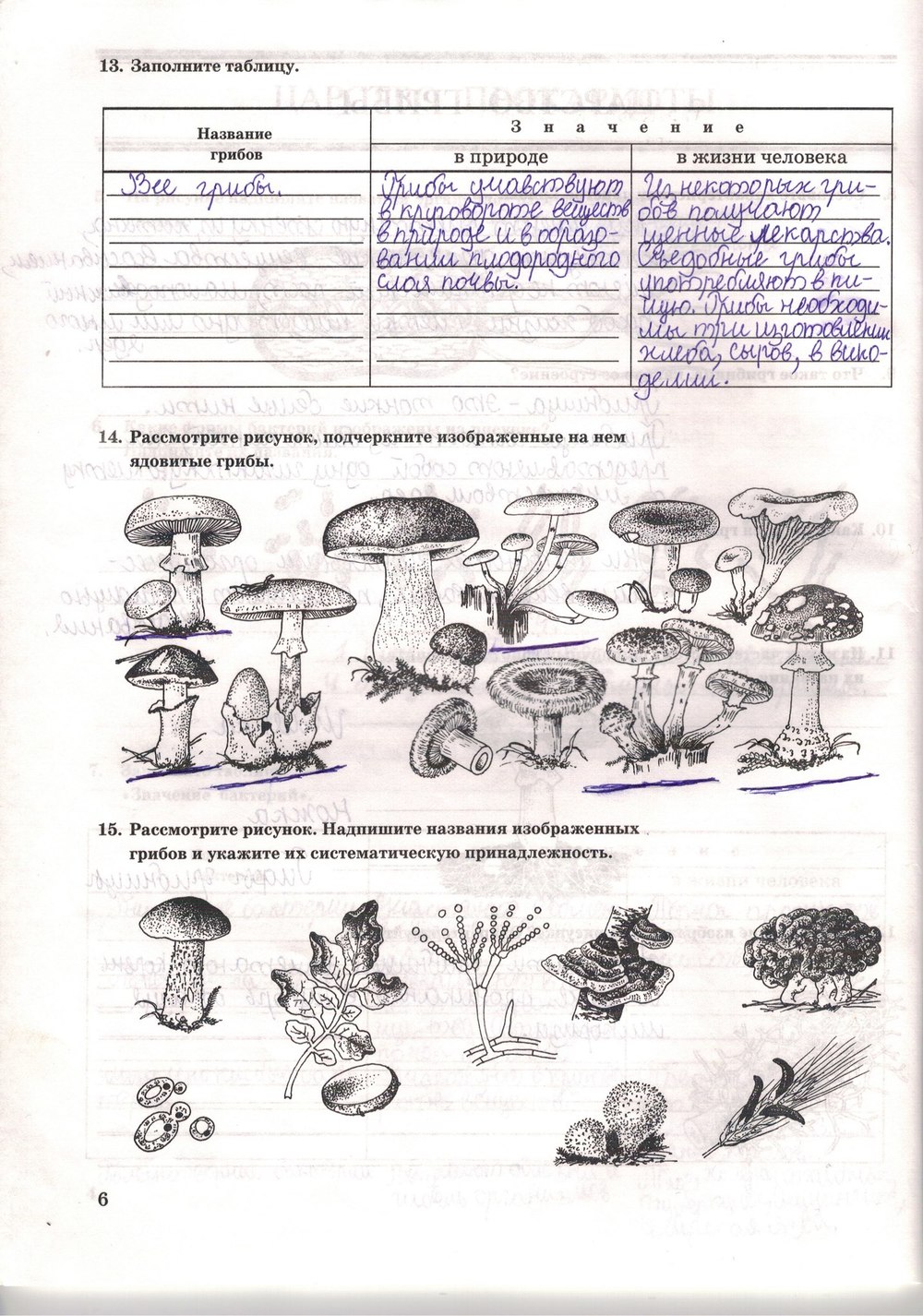 Рабочая тетрадь. Многообразие живых организмов, 7 класс, Захаров В.Б., Сонин Н.И., 2006, задание: стр. 6