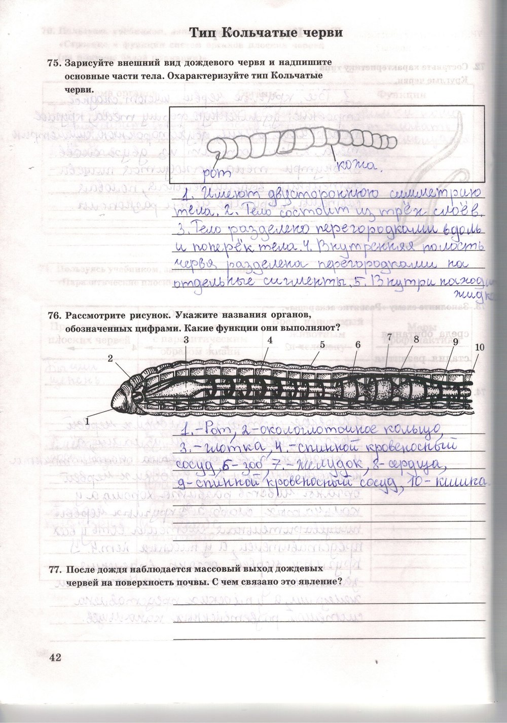 Рабочая тетрадь. Многообразие живых организмов, 7 класс, Захаров В.Б., Сонин Н.И., 2006, задание: стр. 42