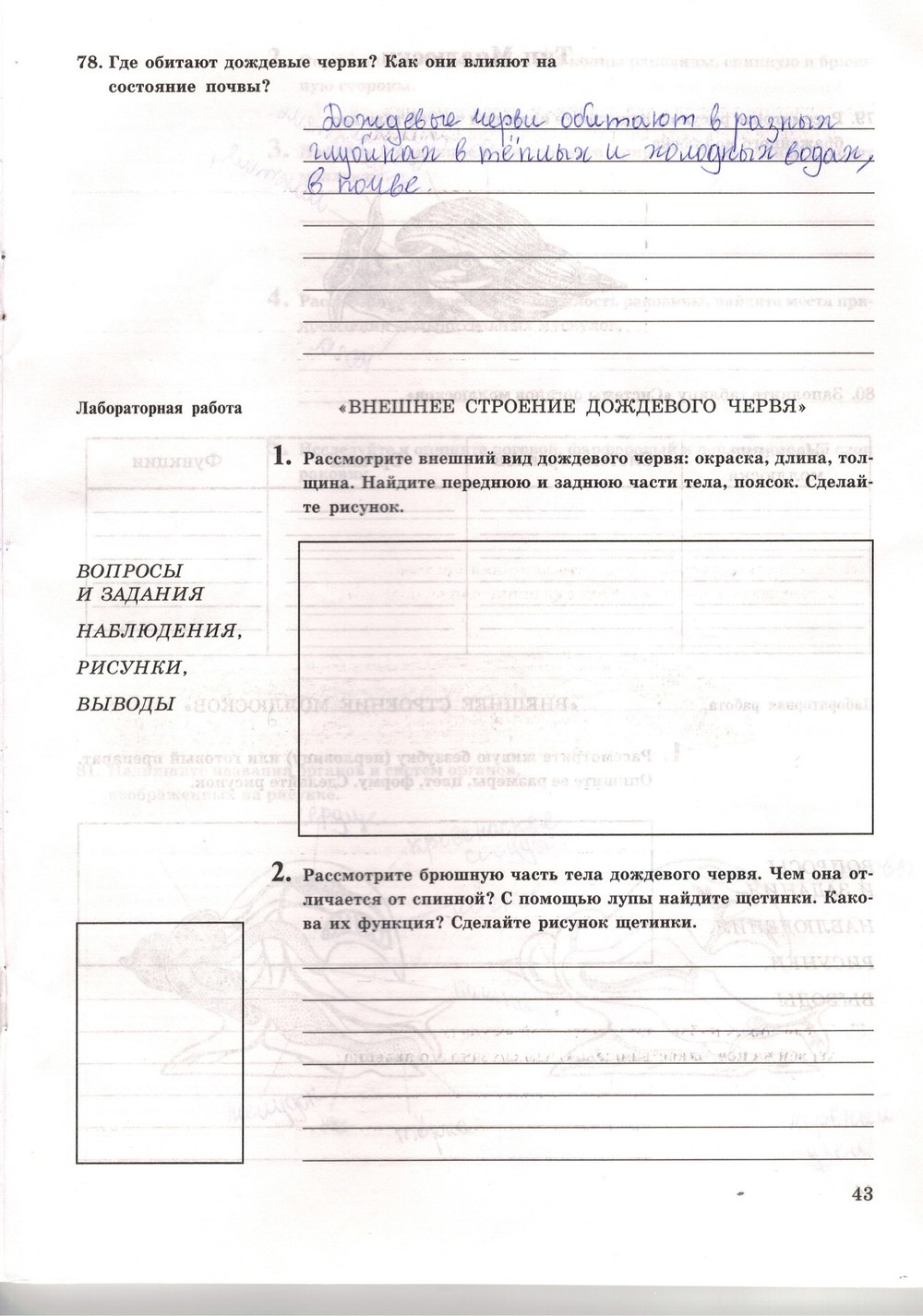 Рабочая тетрадь. Многообразие живых организмов, 7 класс, Захаров В.Б., Сонин Н.И., 2006, задание: стр. 43