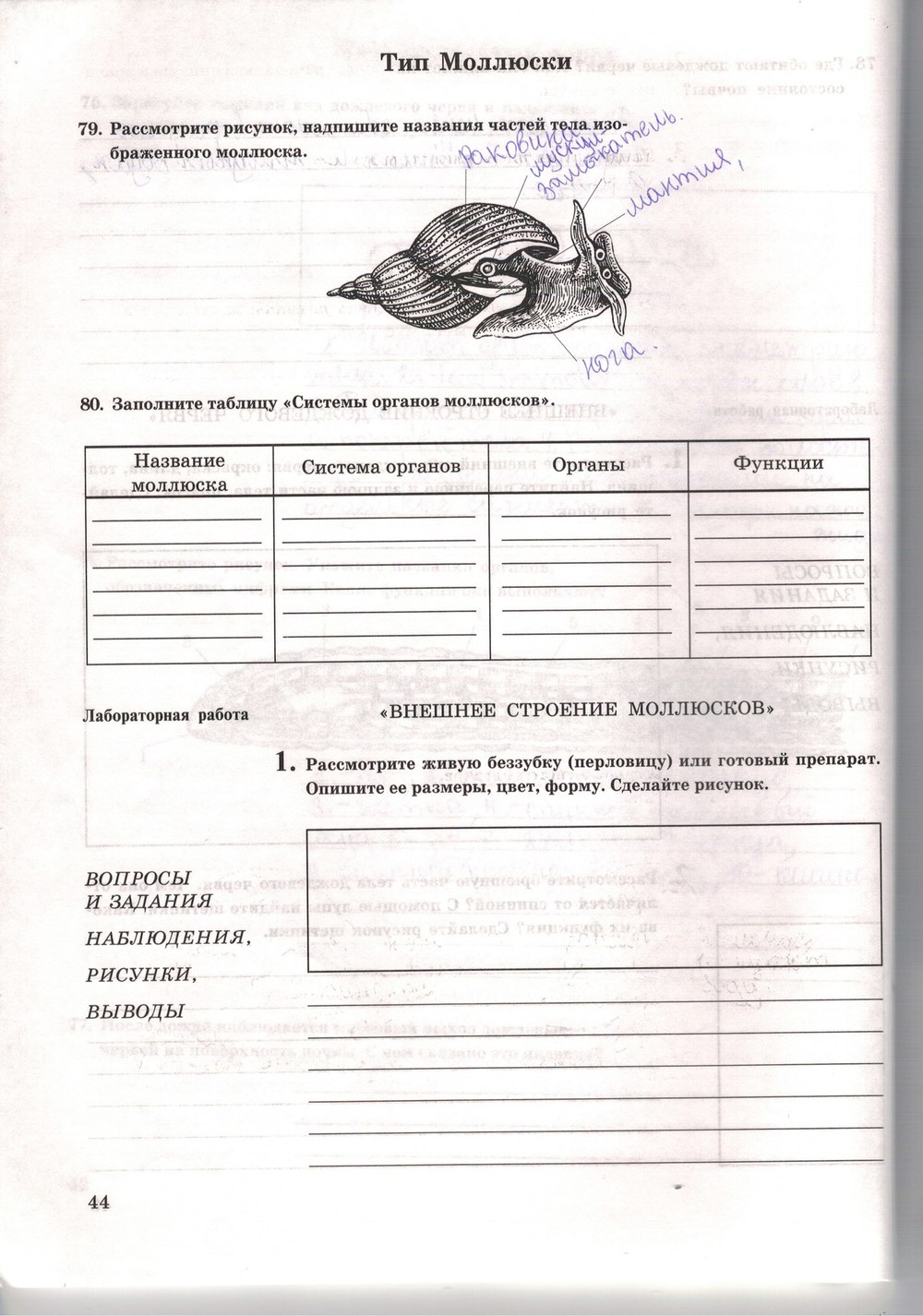 Рабочая тетрадь. Многообразие живых организмов, 7 класс, Захаров В.Б., Сонин Н.И., 2006, задание: стр. 44