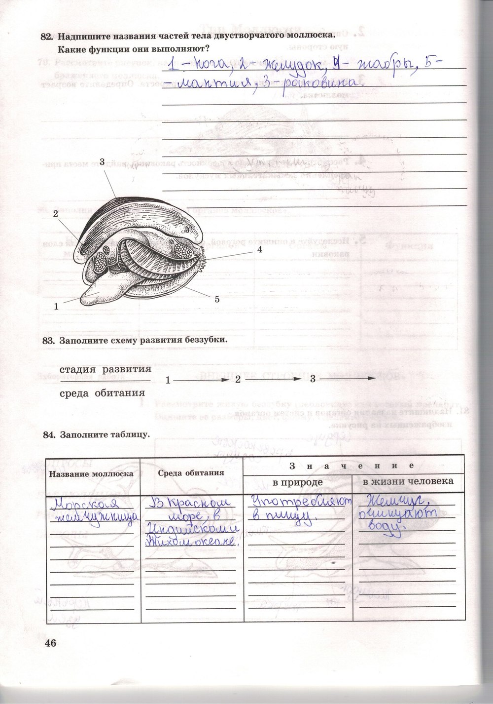 Рабочая тетрадь. Многообразие живых организмов, 7 класс, Захаров В.Б., Сонин Н.И., 2006, задание: стр. 46