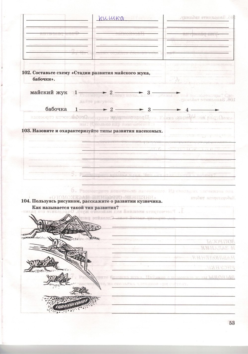 Рабочая тетрадь. Многообразие живых организмов, 7 класс, Захаров В.Б., Сонин Н.И., 2006, задание: стр. 53