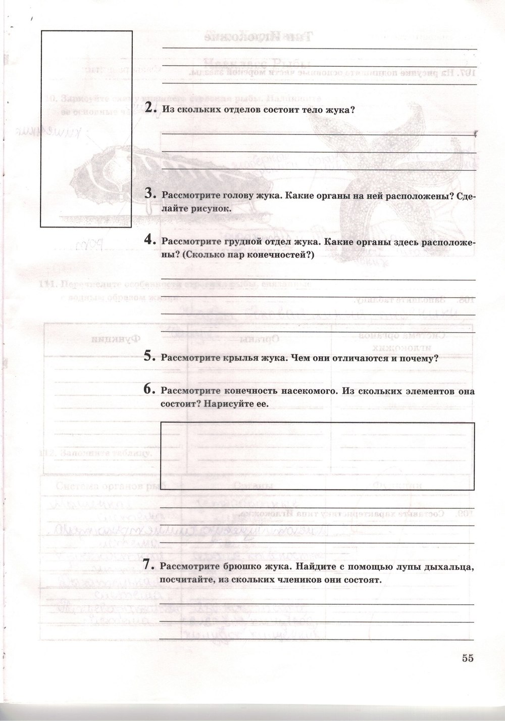 Рабочая тетрадь. Многообразие живых организмов, 7 класс, Захаров В.Б., Сонин Н.И., 2006, задание: стр. 55