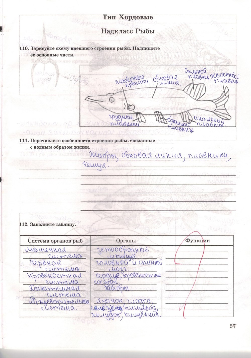 Рабочая тетрадь. Многообразие живых организмов, 7 класс, Захаров В.Б., Сонин Н.И., 2006, задание: стр. 57