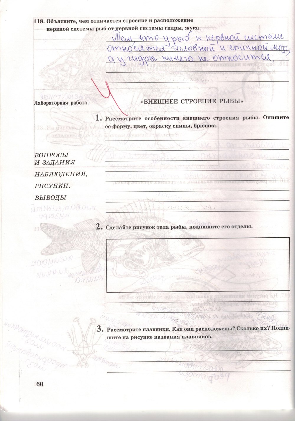 Рабочая тетрадь. Многообразие живых организмов, 7 класс, Захаров В.Б., Сонин Н.И., 2006, задание: стр. 60