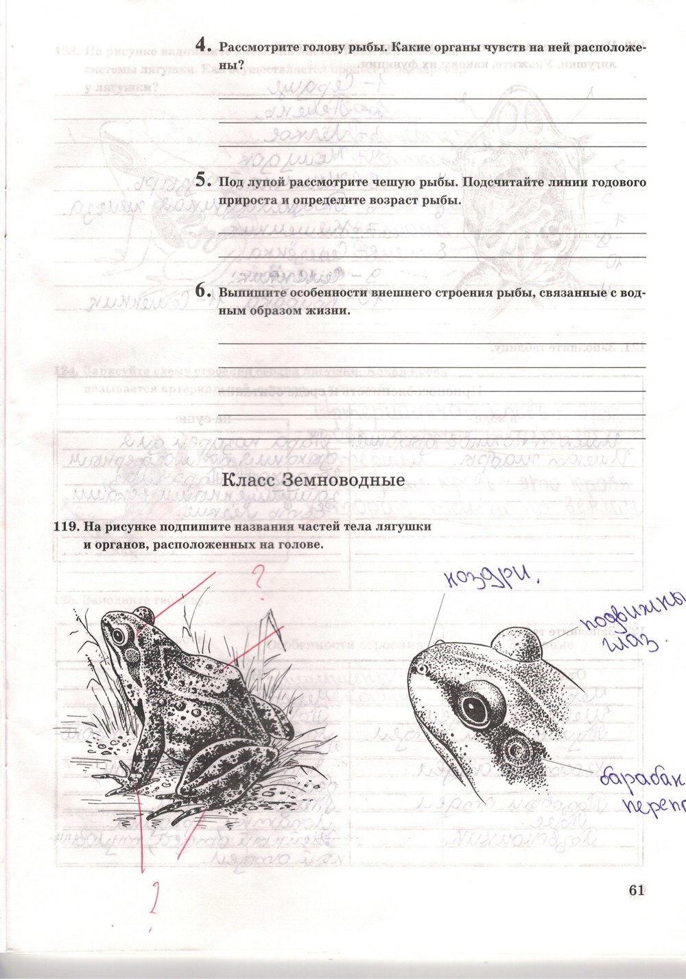 Рабочая тетрадь. Многообразие живых организмов, 7 класс, Захаров В.Б., Сонин Н.И., 2006, задание: стр. 61