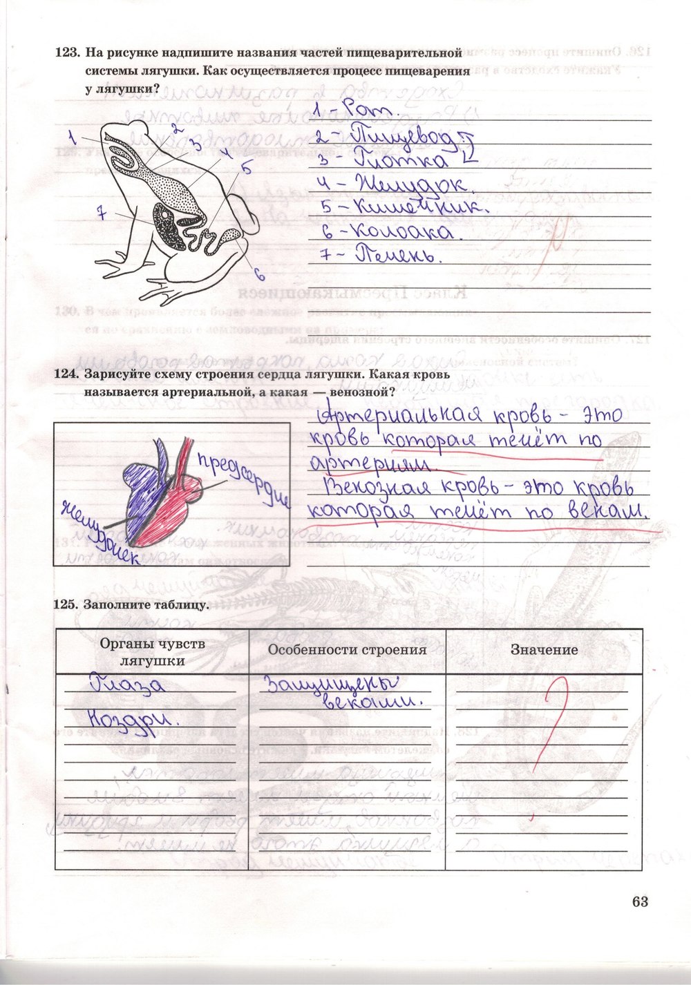 Рабочая тетрадь. Многообразие живых организмов, 7 класс, Захаров В.Б., Сонин Н.И., 2006, задание: стр. 63