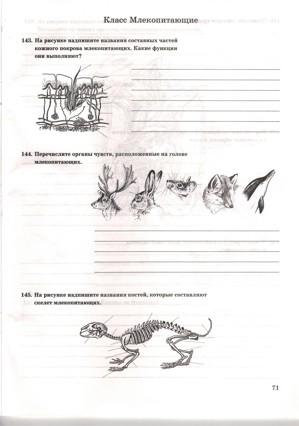 Рабочая тетрадь. Многообразие живых организмов, 7 класс, Захаров В.Б., Сонин Н.И., 2006, задание: стр. 71