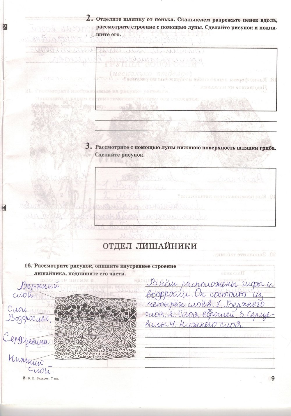 Рабочая тетрадь. Многообразие живых организмов, 7 класс, Захаров В.Б., Сонин Н.И., 2006, задание: стр. 9