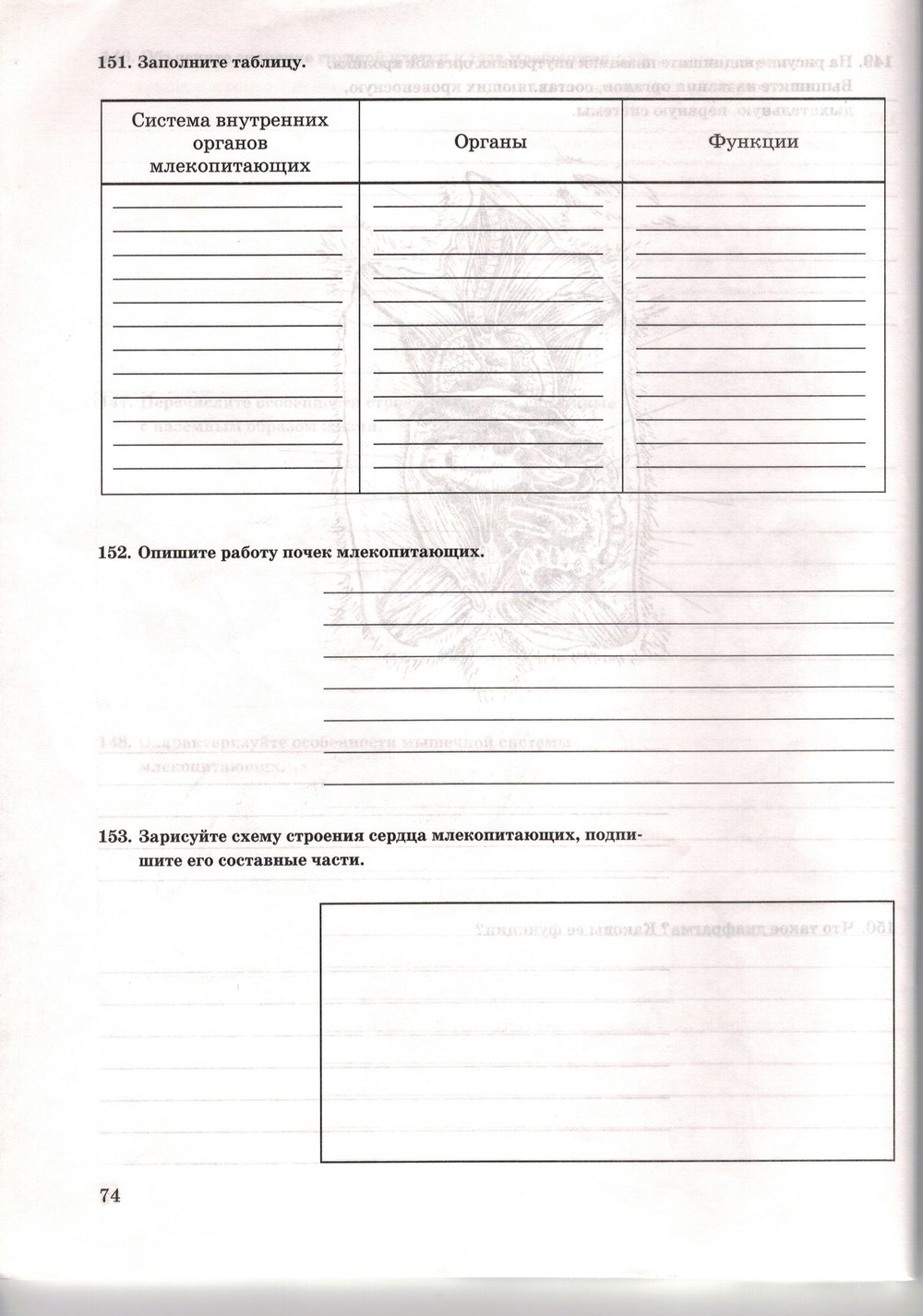 Рабочая тетрадь. Многообразие живых организмов, 7 класс, Захаров В.Б., Сонин Н.И., 2006, задание: стр. 74