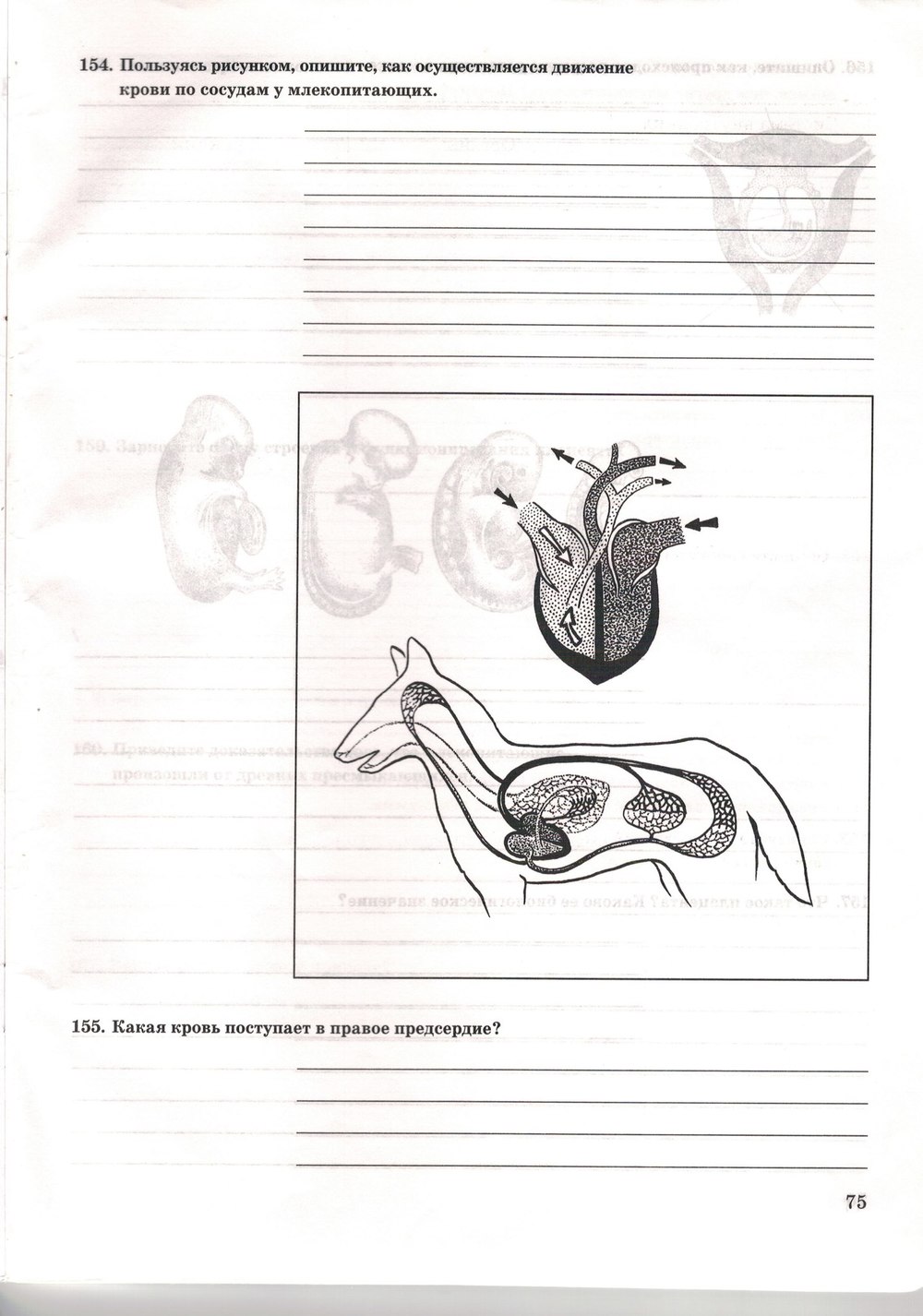 Рабочая тетрадь. Многообразие живых организмов, 7 класс, Захаров В.Б., Сонин Н.И., 2006, задание: стр. 75
