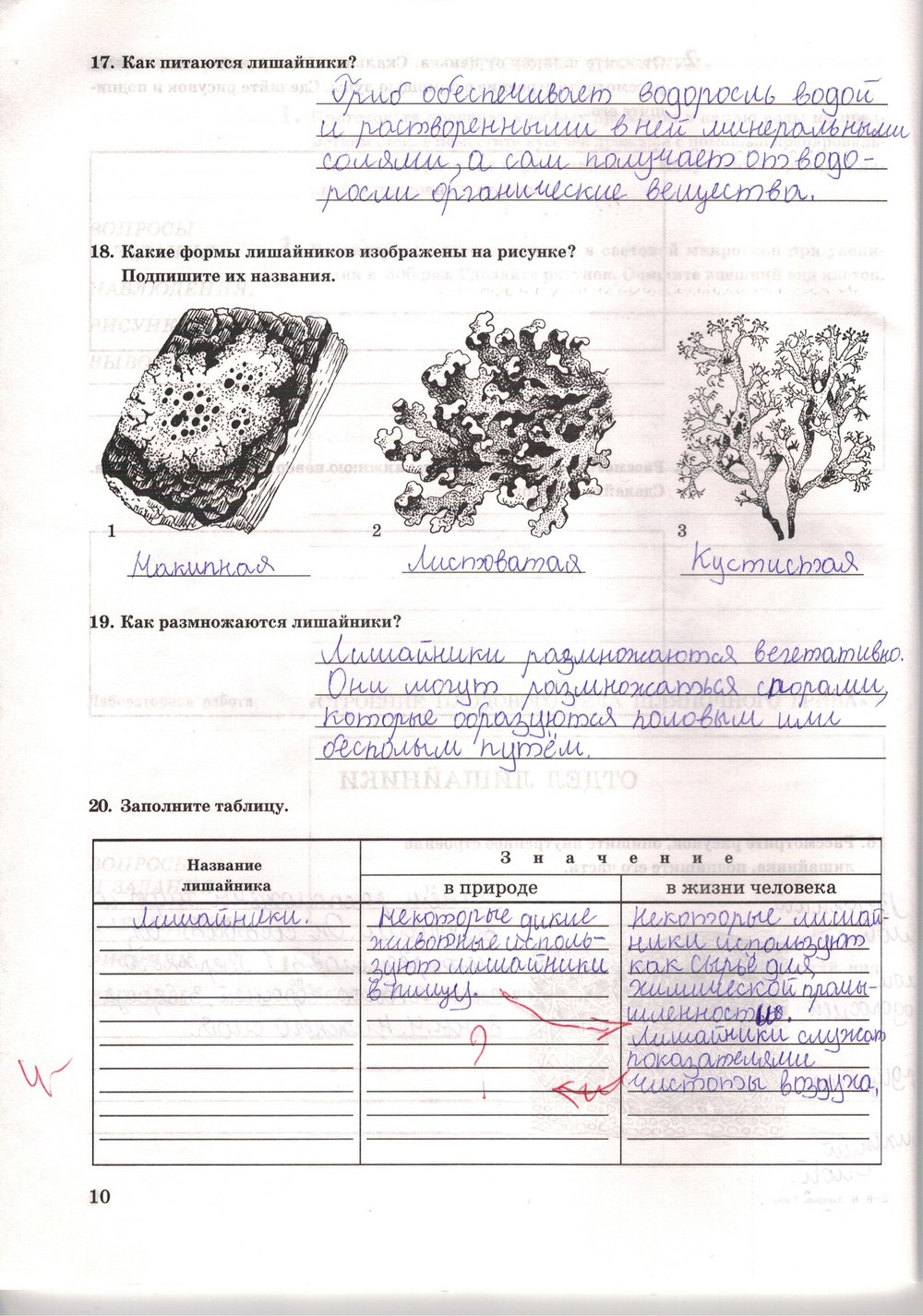 Рабочая тетрадь. Многообразие живых организмов, 7 класс, Захаров В.Б., Сонин Н.И., 2006, задание: стр. 10