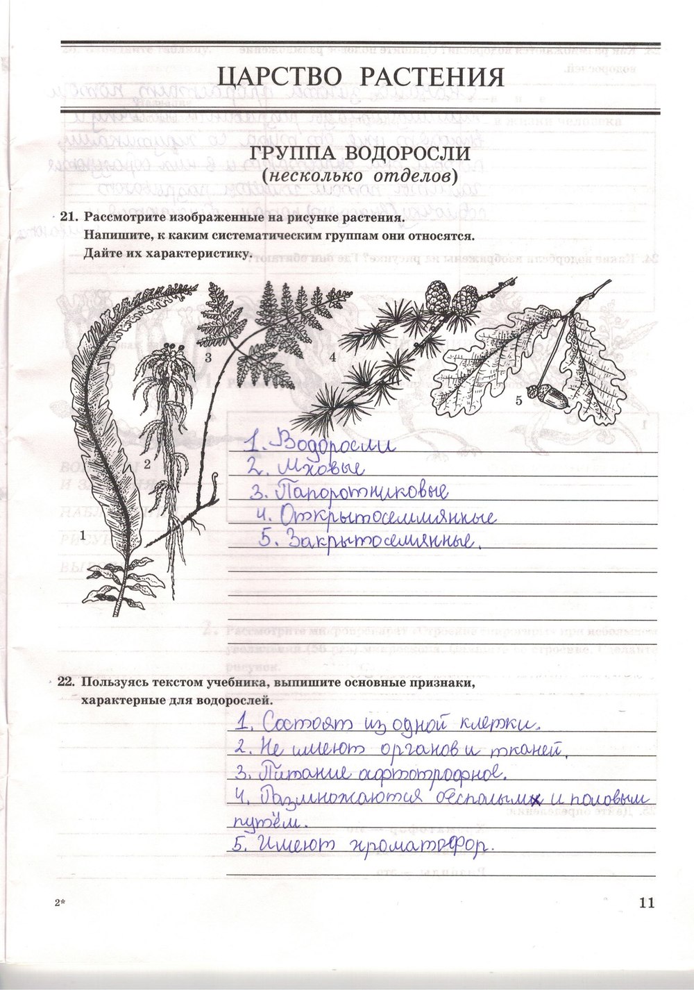 Рабочая тетрадь. Многообразие живых организмов, 7 класс, Захаров В.Б., Сонин Н.И., 2006, задание: стр. 11