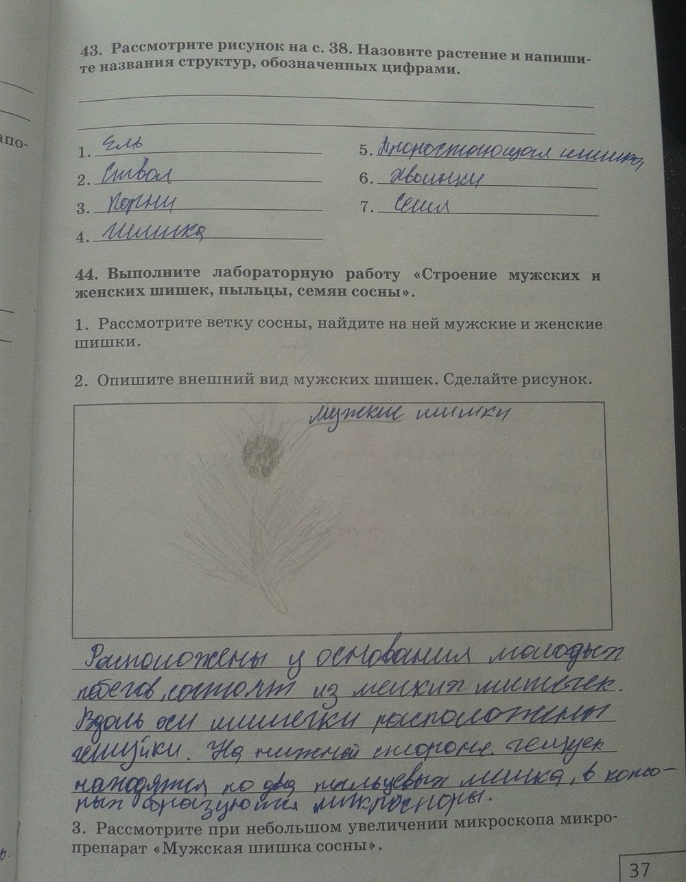 Рабочая тетрадь. Многообразие живых организмов, 7 класс, Захаров, Сонин, 2016, задача: стр. 37