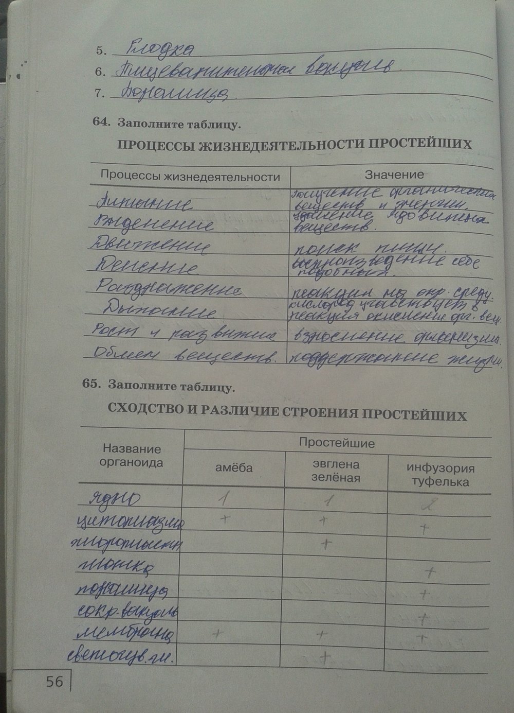 Рабочая тетрадь. Многообразие живых организмов, 7 класс, Захаров, Сонин, 2016, задача: стр. 56