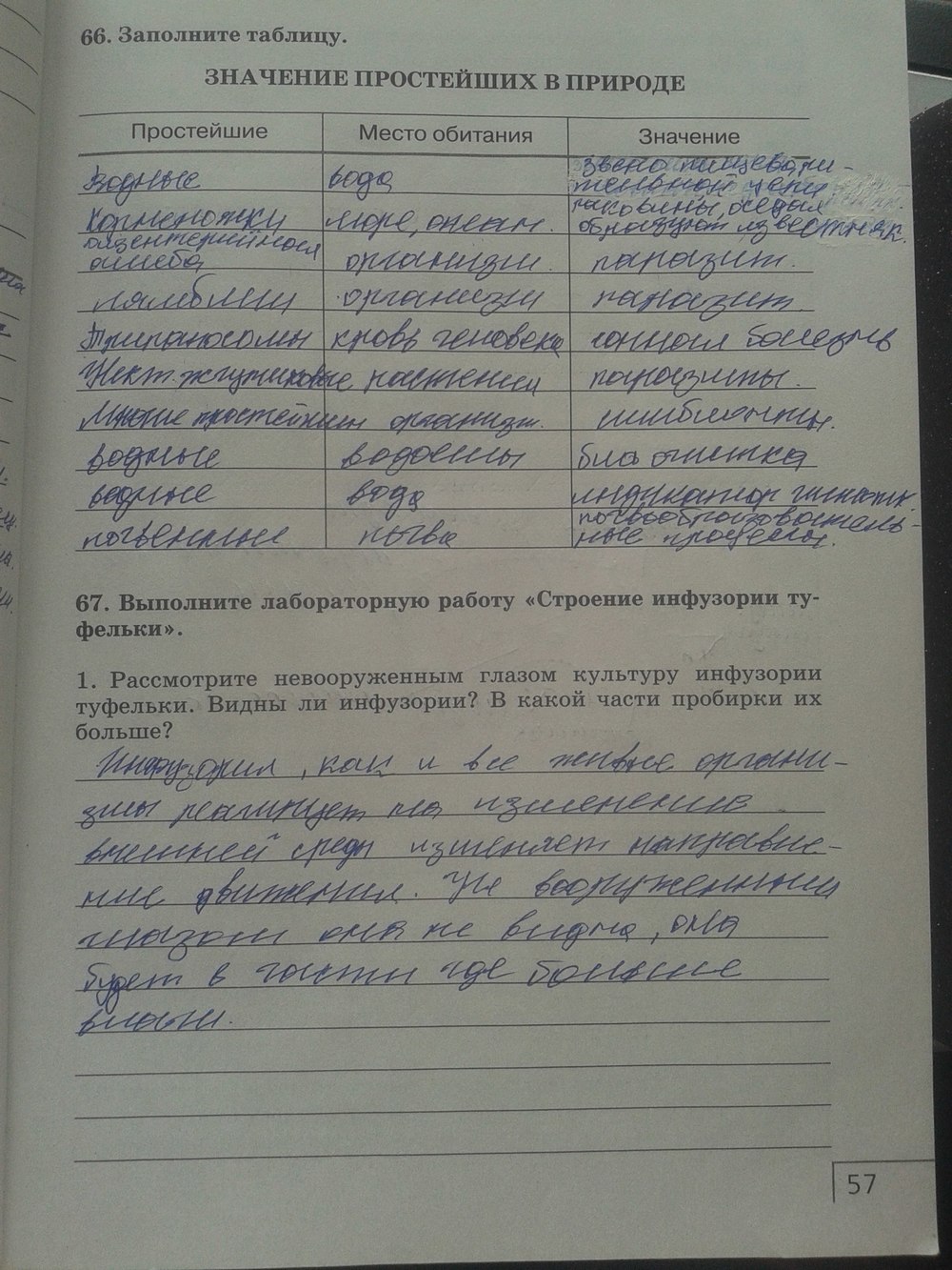 Рабочая тетрадь. Многообразие живых организмов, 7 класс, Захаров, Сонин, 2016, задача: стр. 57