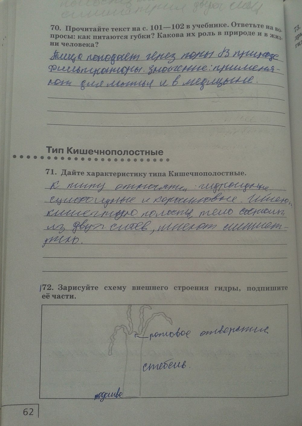 Рабочая тетрадь. Многообразие живых организмов, 7 класс, Захаров, Сонин, 2016, задача: стр. 62