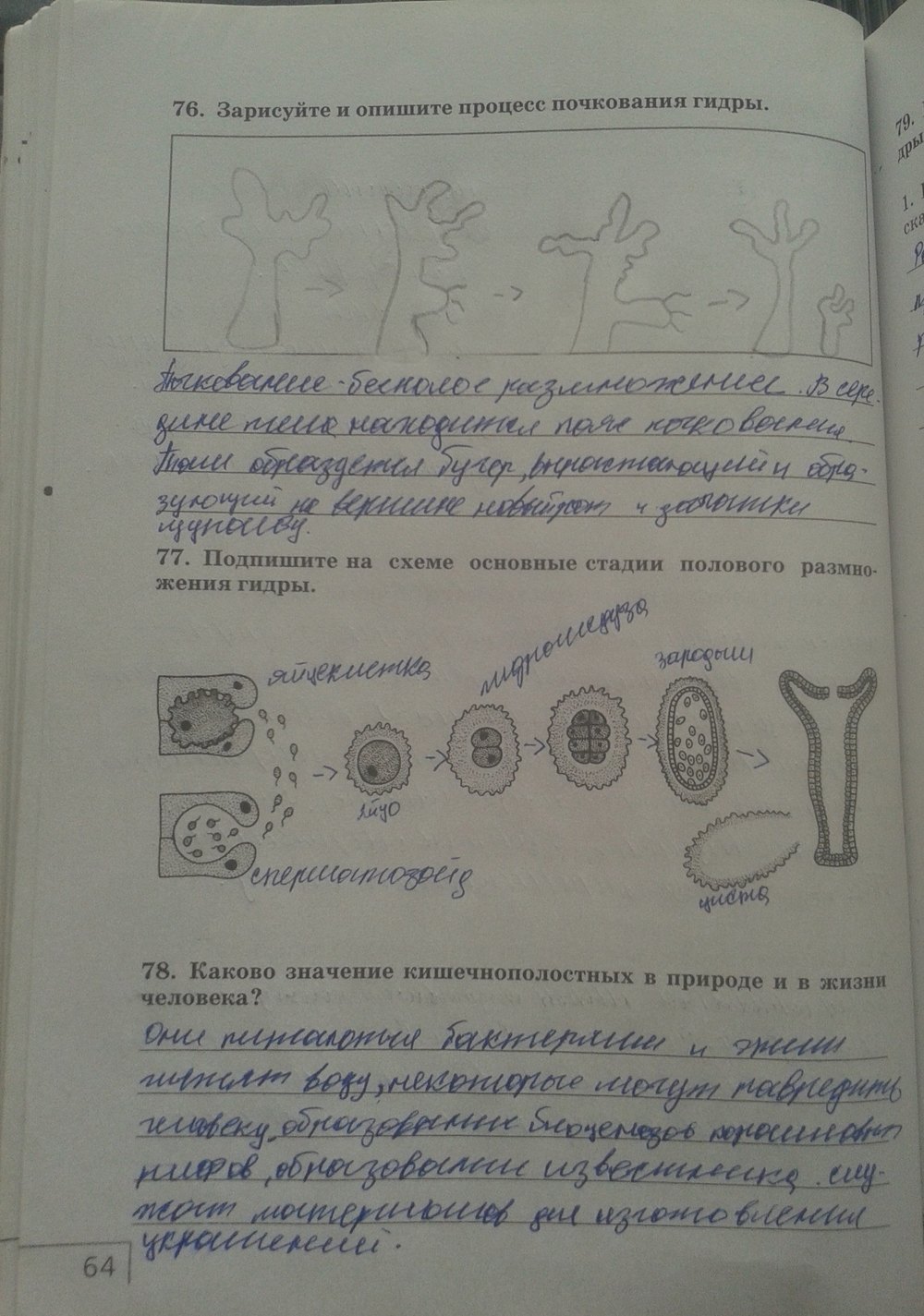 Рабочая тетрадь. Многообразие живых организмов, 7 класс, Захаров, Сонин, 2016, задача: стр. 64