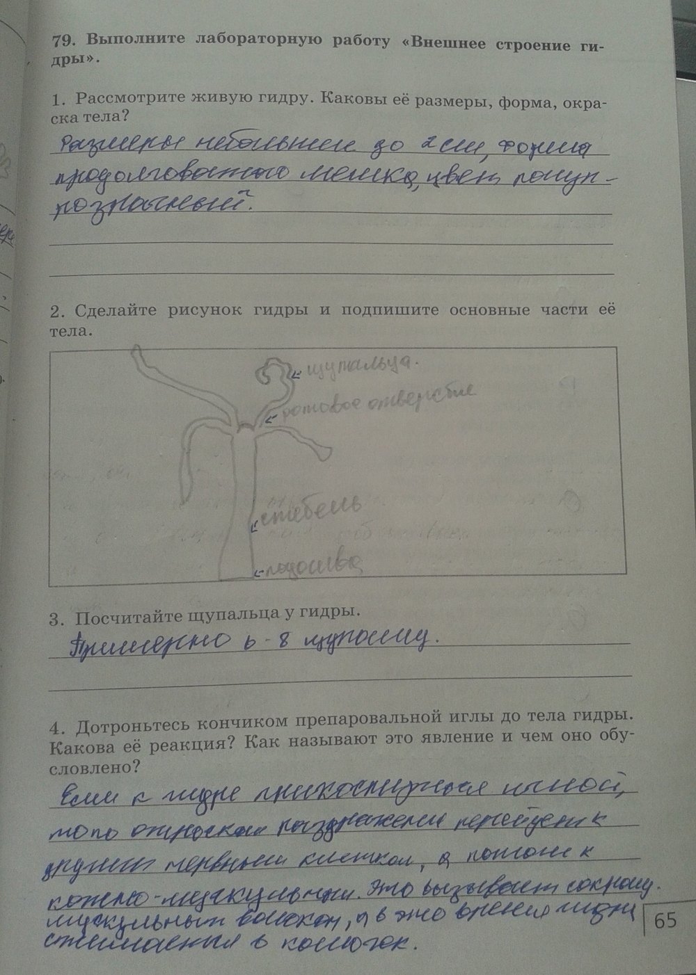Рабочая тетрадь. Многообразие живых организмов, 7 класс, Захаров, Сонин, 2016, задача: стр. 65