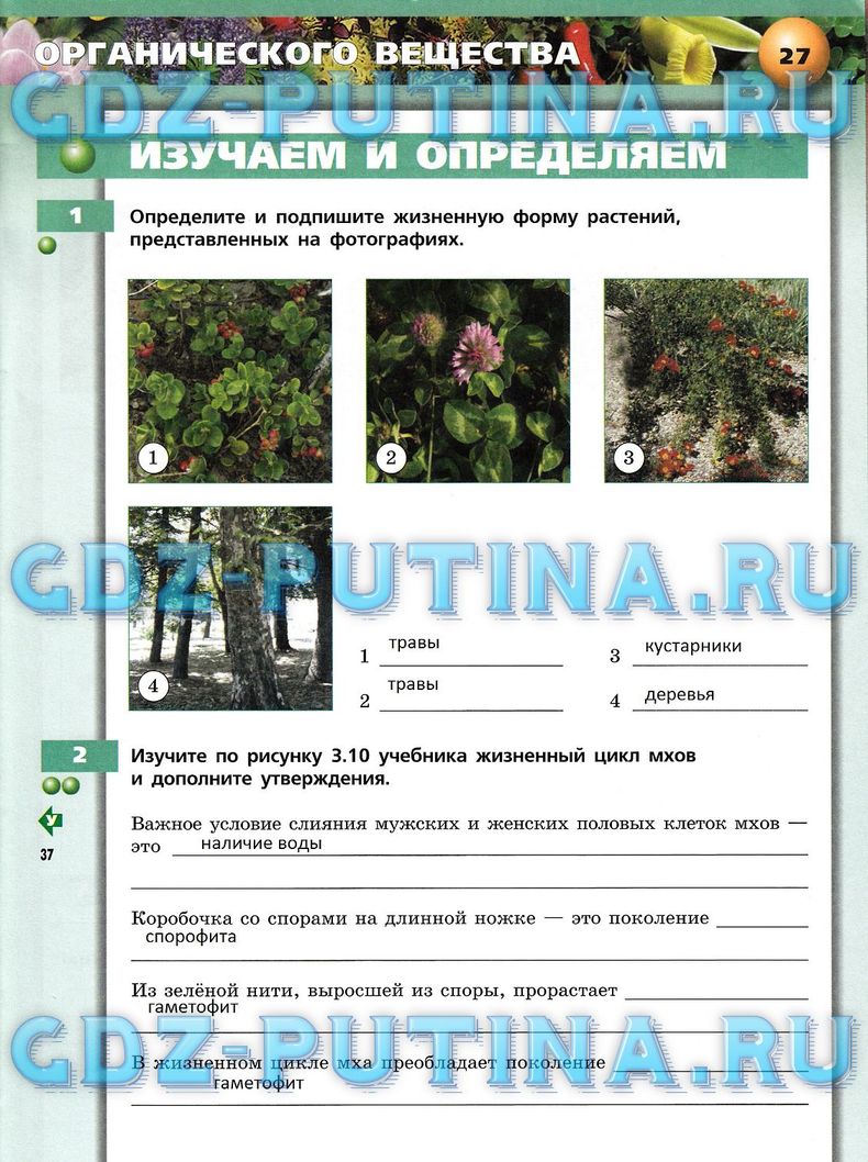 Рабочая тетрадь, 7 класс, Сухорукова Л.Н., Кучменко В.С., Власова Е.А., 2014, задание: 27