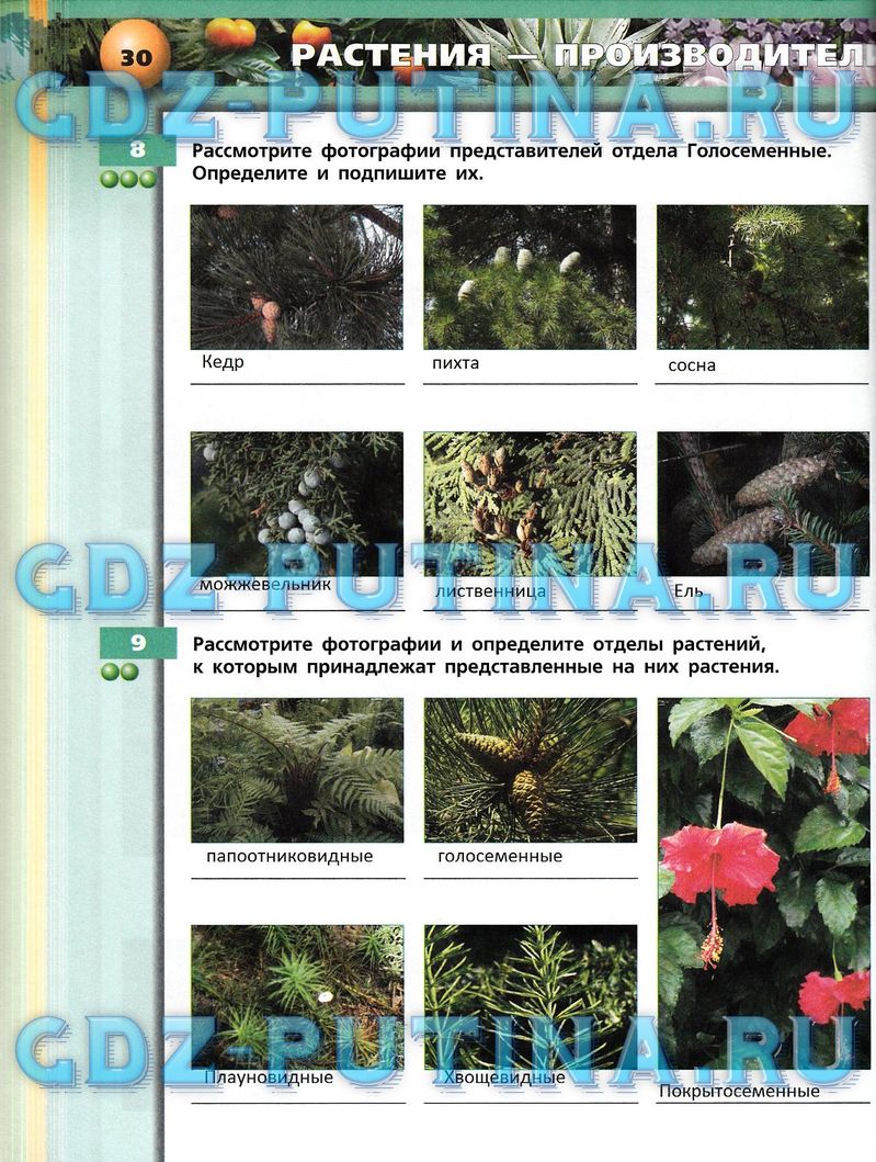 Рабочая тетрадь, 7 класс, Сухорукова Л.Н., Кучменко В.С., Власова Е.А., 2014, задание: 30