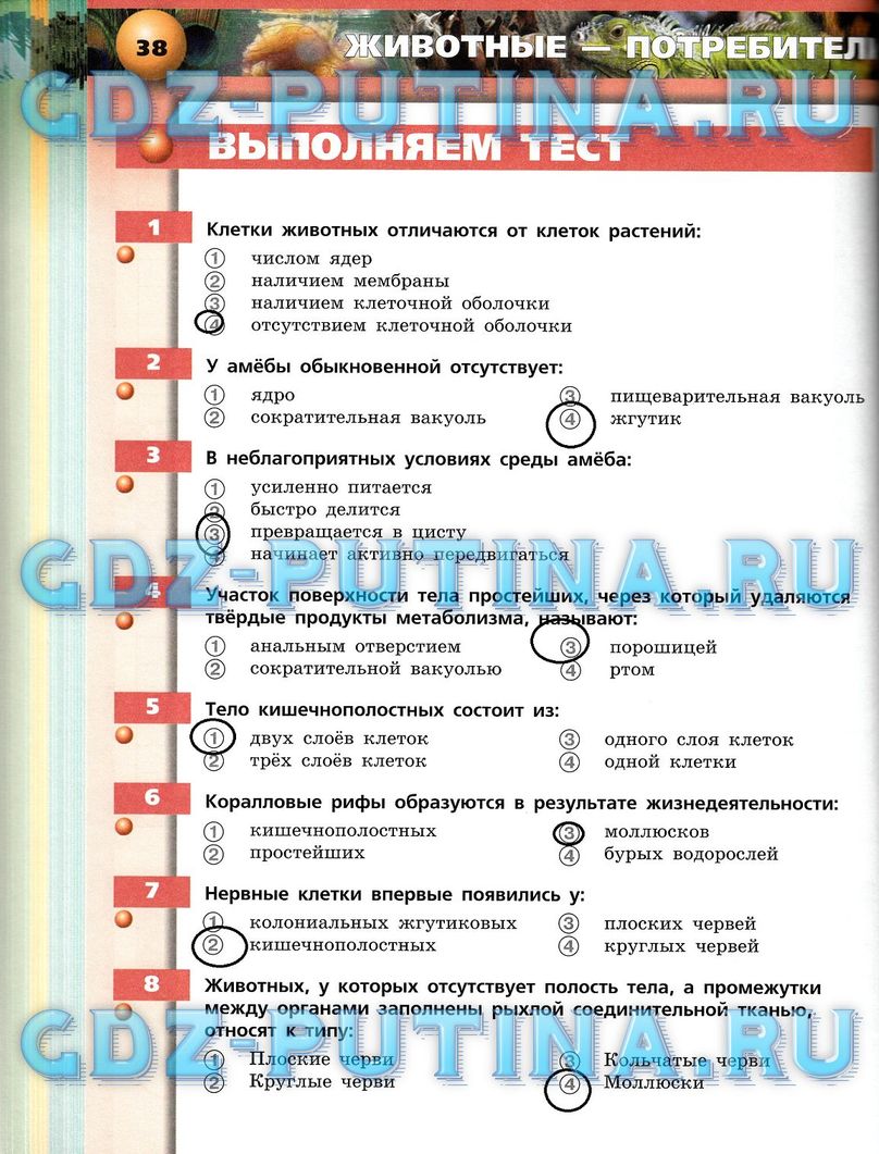 Рабочая тетрадь, 7 класс, Сухорукова Л.Н., Кучменко В.С., Власова Е.А., 2014, задание: 38