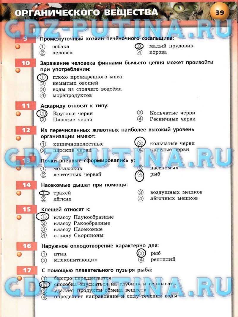 Рабочая тетрадь, 7 класс, Сухорукова Л.Н., Кучменко В.С., Власова Е.А., 2014, задание: 39