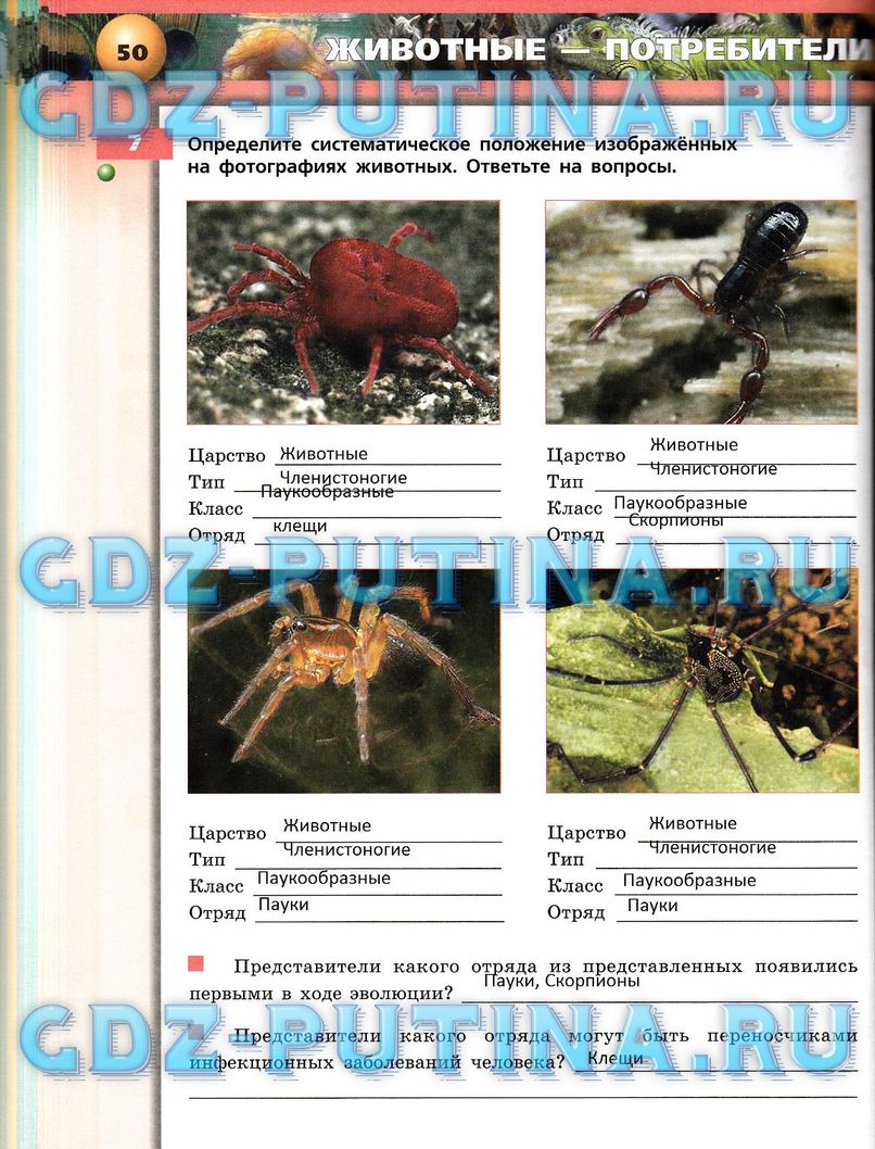 Рабочая тетрадь, 7 класс, Сухорукова Л.Н., Кучменко В.С., Власова Е.А., 2014, задание: 50