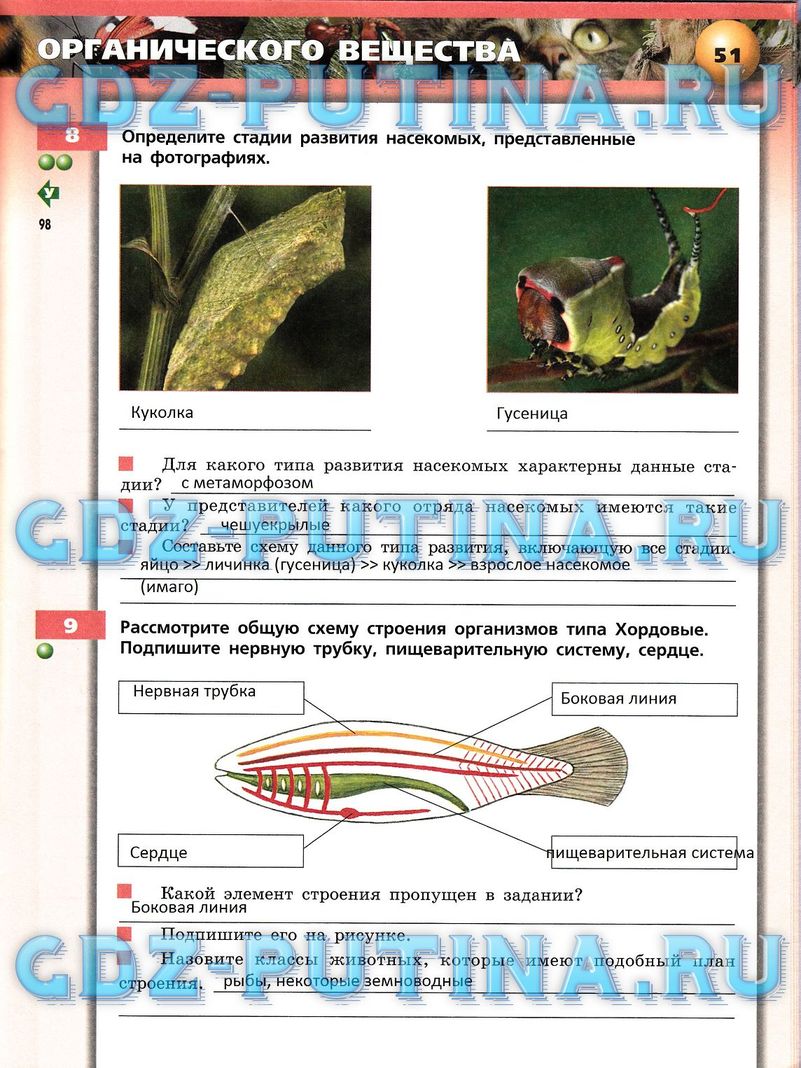 Рабочая тетрадь, 7 класс, Сухорукова Л.Н., Кучменко В.С., Власова Е.А., 2014, задание: 51