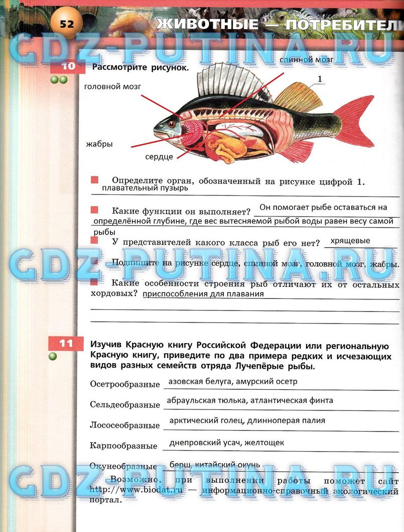 Рабочая тетрадь, 7 класс, Сухорукова Л.Н., Кучменко В.С., Власова Е.А., 2014, задание: 52