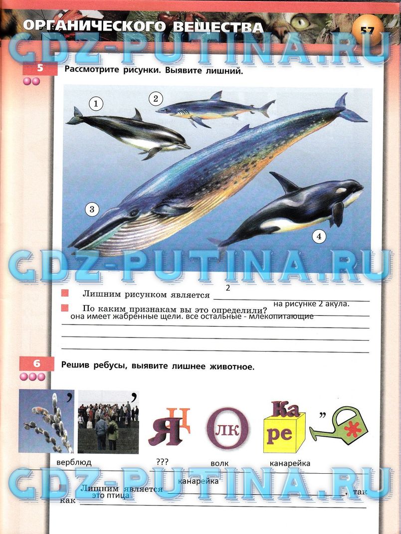 Рабочая тетрадь, 7 класс, Сухорукова Л.Н., Кучменко В.С., Власова Е.А., 2014, задание: 57