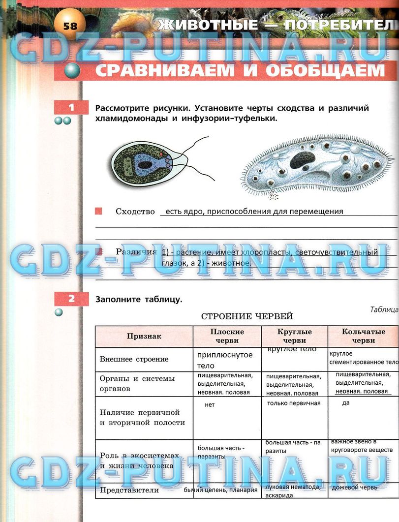 Рабочая тетрадь, 7 класс, Сухорукова Л.Н., Кучменко В.С., Власова Е.А., 2014, задание: 58