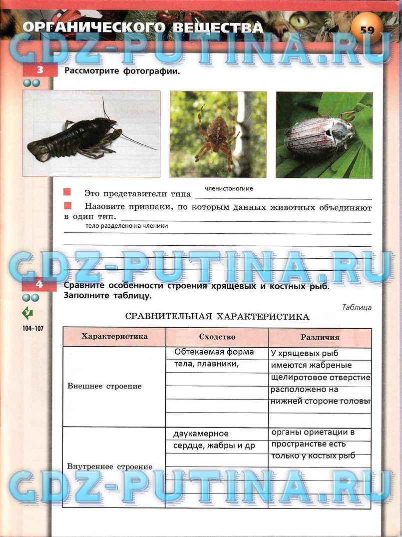 Рабочая тетрадь, 7 класс, Сухорукова Л.Н., Кучменко В.С., Власова Е.А., 2014, задание: 59