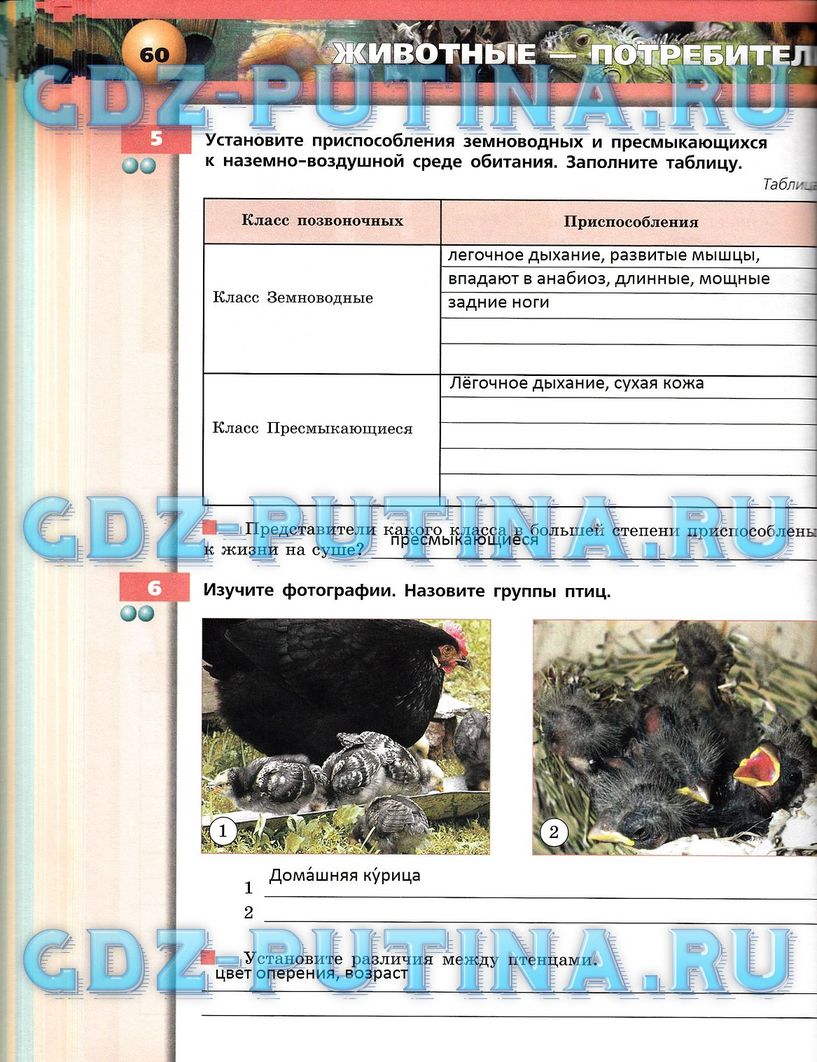 Рабочая тетрадь, 7 класс, Сухорукова Л.Н., Кучменко В.С., Власова Е.А., 2014, задание: 60