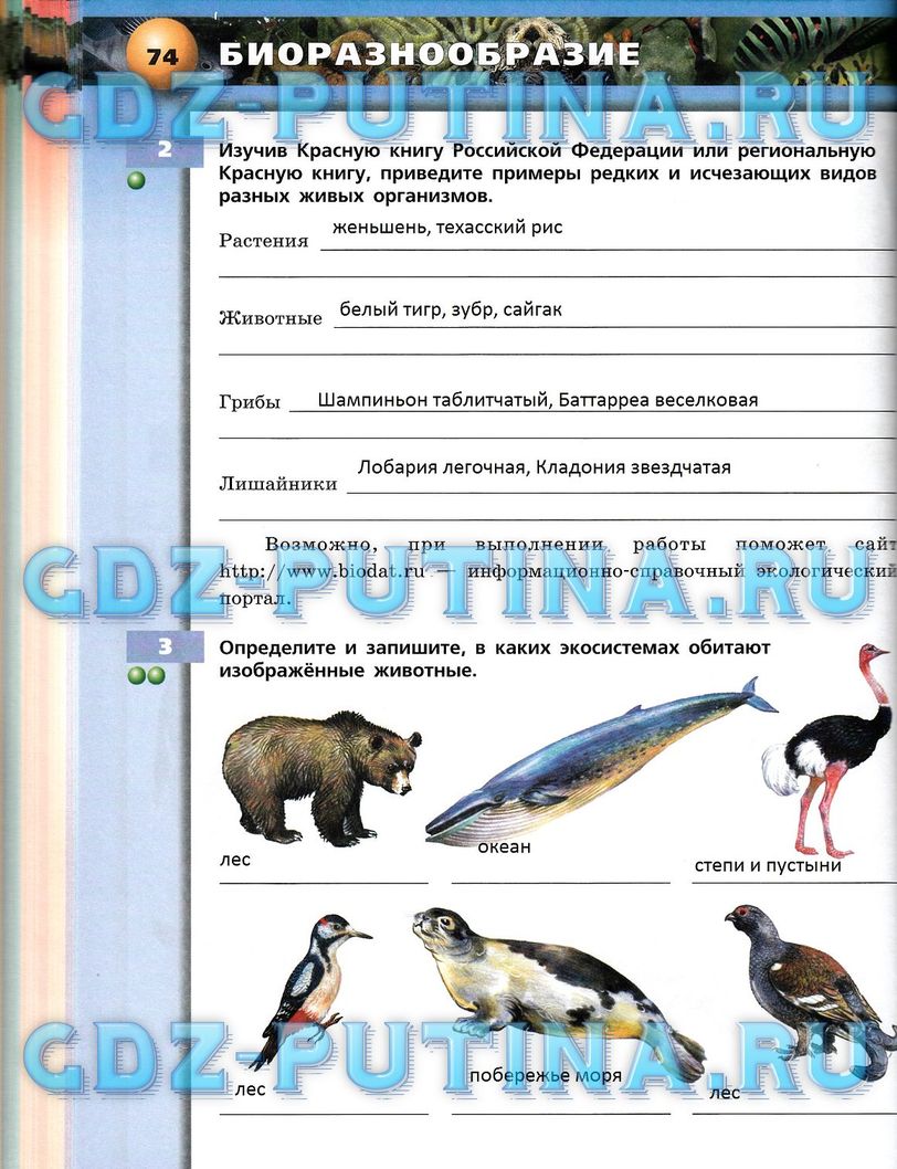 Рабочая тетрадь, 7 класс, Сухорукова Л.Н., Кучменко В.С., Власова Е.А., 2014, задание: 74