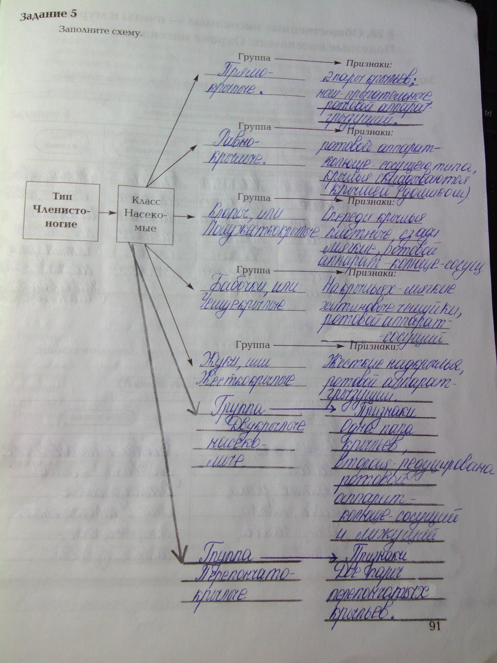 Рабочая тетрадь. Часть 1, 7 класс, Суматохин С.В., Кучменко В.С., 2014, задание: Стр.91