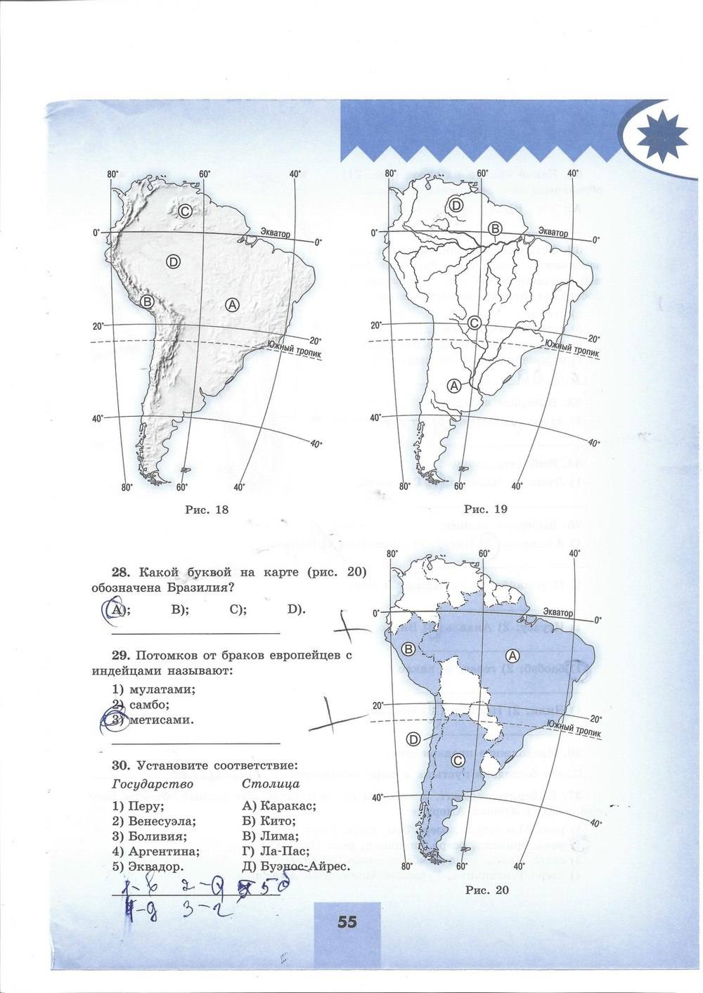 Мой тренажёр. Рабочая тетрадь, 7 класс, Николина, 2016, задача: стр. 55