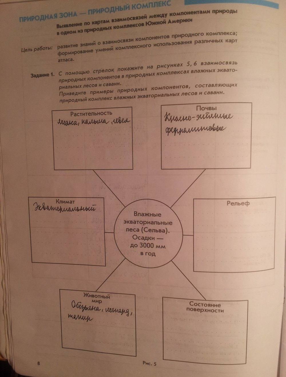 География материков и океанов, 7 класс, Сиротин В. И., 2015, задание: стр.8