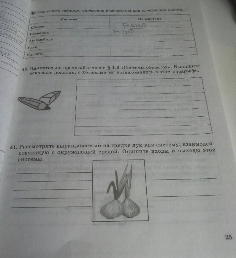 Рабочая тетрадь, 7 класс, Босова Л.Л., 2012, задание: стр. 25