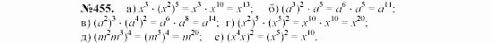 Алгебра, 7 класс, Макарычев, Миндюк, 2003, 18. Возведение в степень произведения и степени Задание: 455