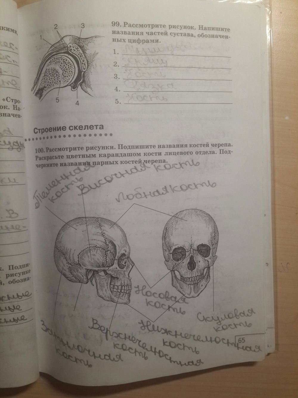 Рабочая тетрадь, 8 класс, Сонин Н. И., Агафонова И. Б., М, 2007, задание: стр. 65